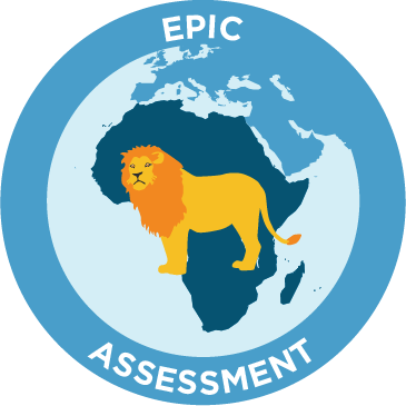 epic assessment icon